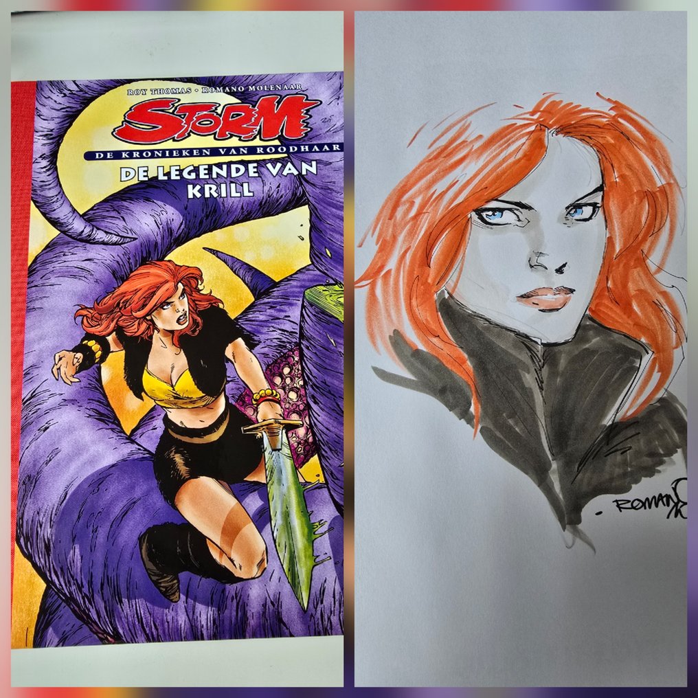 Storm - De kronieken van Roodhaar - luxe HC met linnen rug - opdrachttekening - 1 Album - First edition - 2015 #1.0