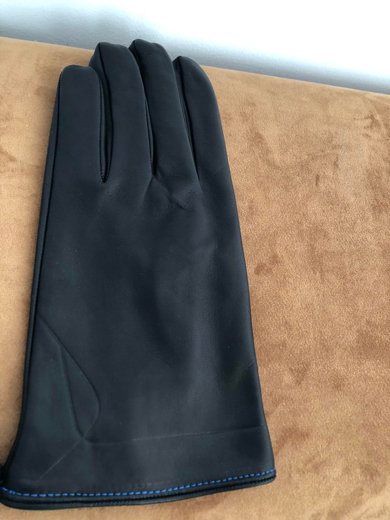 Asuste - Alpine - Alpine Gloves / Handschoenen #4.3