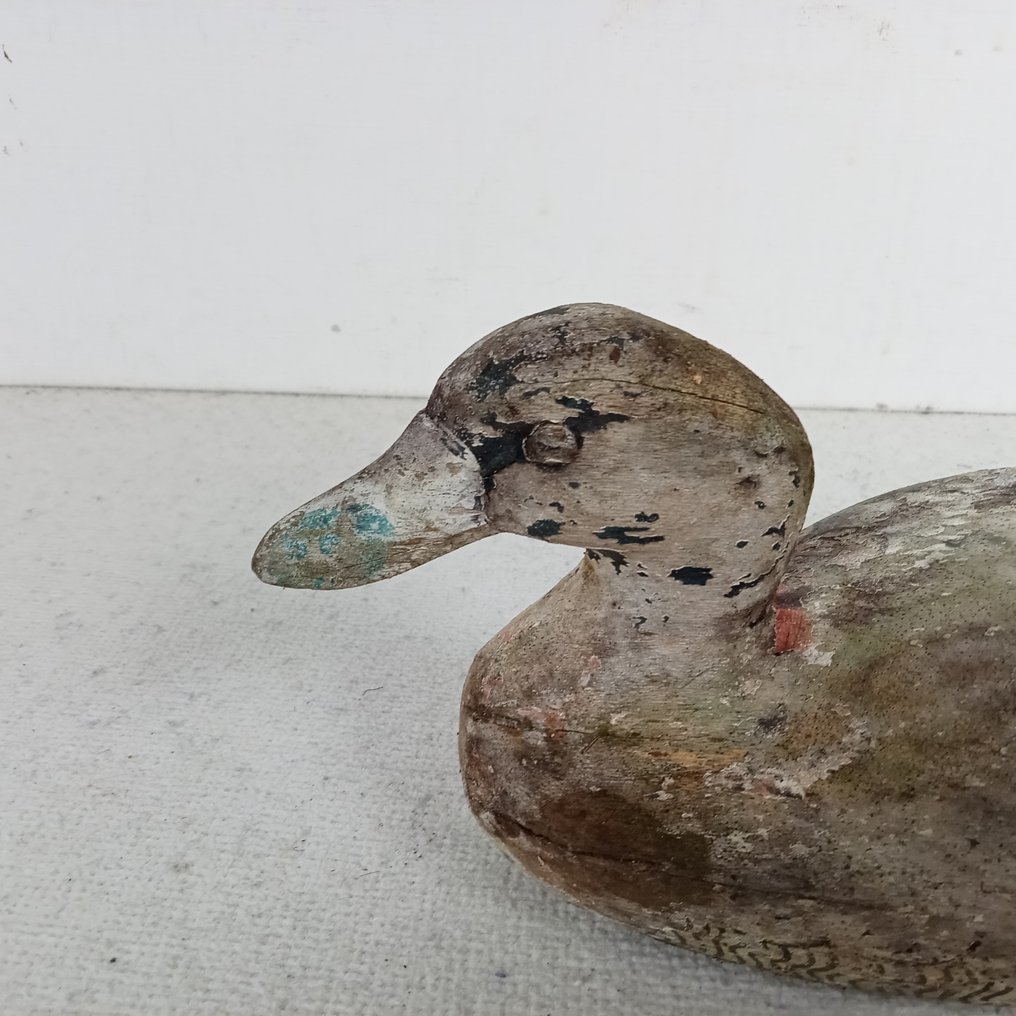 Lokeend - Lokeend (2) - Hout, Handbeschilderd hout #3.2