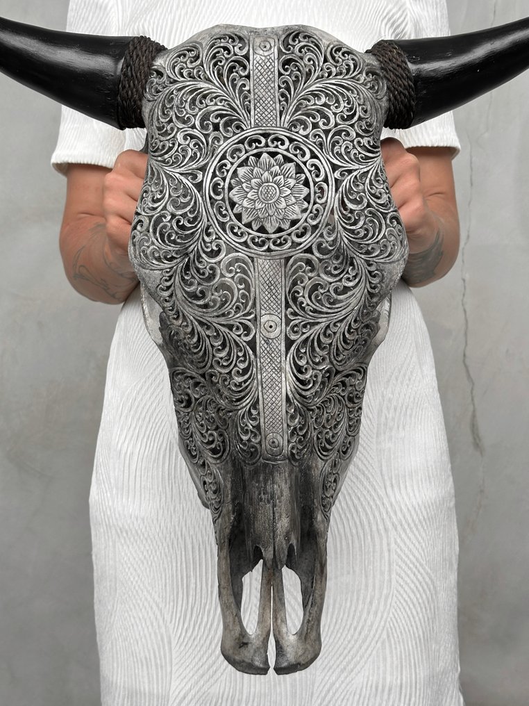 无底价 - 正品大型灰色手工雕刻牛头骨 - 花卉曼陀罗条纹图案 雕刻的颅骨 - Bos Taurus - 57 cm - 60 cm - 17 cm- 非《濒危物种公约》物种 - (1) #1.0