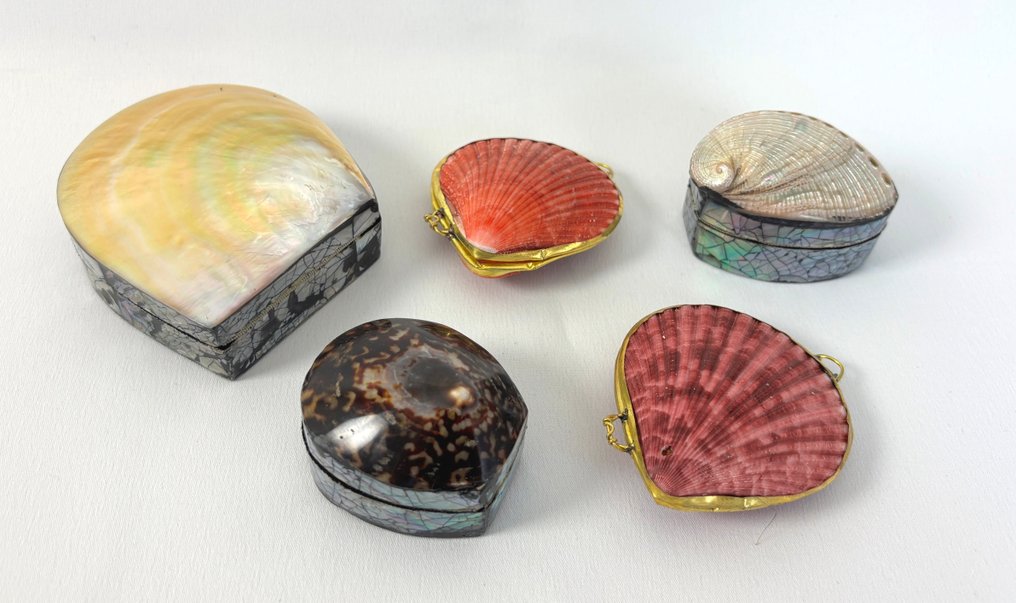 geen merk - Schelpendoosjes - Jewellery case #1.0