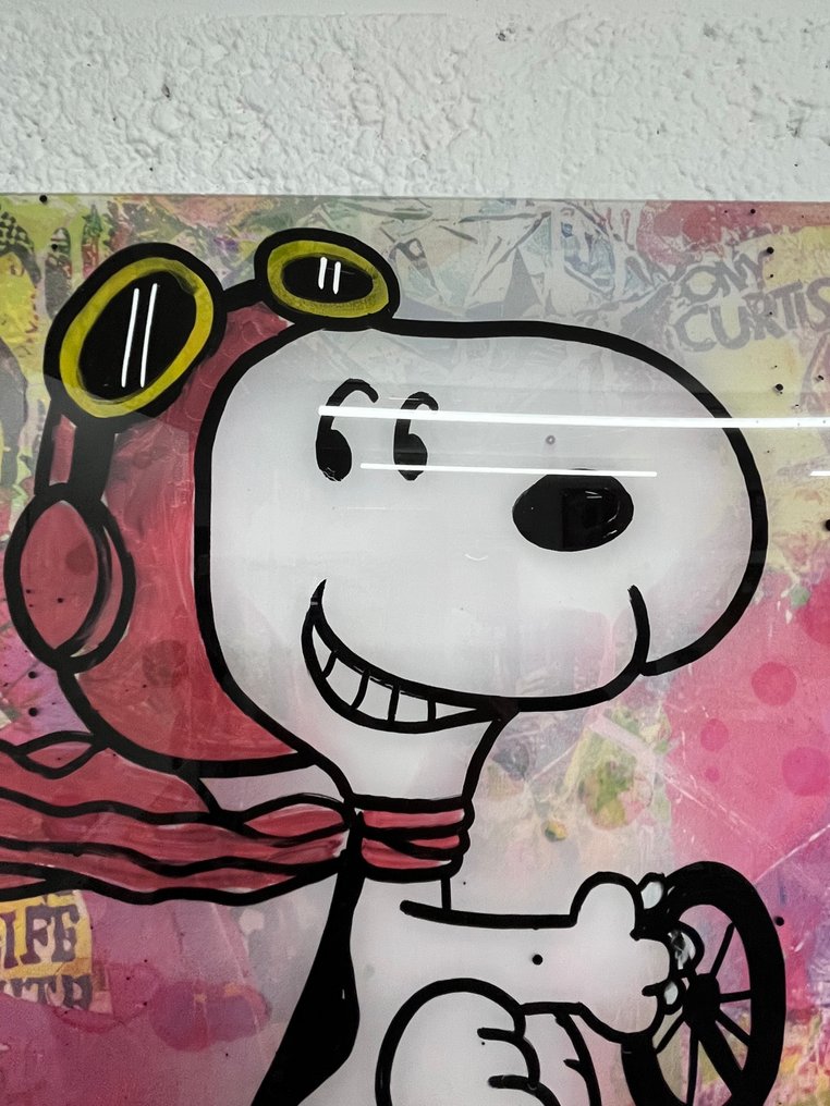 Alvin Silvrants - Snoopy as a Ferrari Formula 1 - F1 driver - High Gloss cutting edge painting #3.2