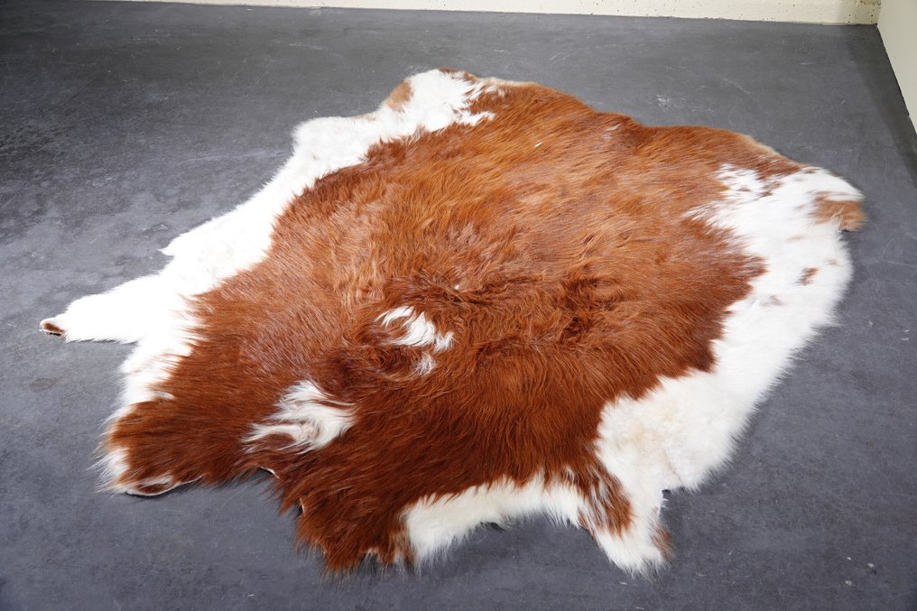 Yak Skin Κρανίο - Bos grunniens - 150 cm - 1 cm - 140 cm- Είδη που δεν ανήκουν στο CITES #1.0