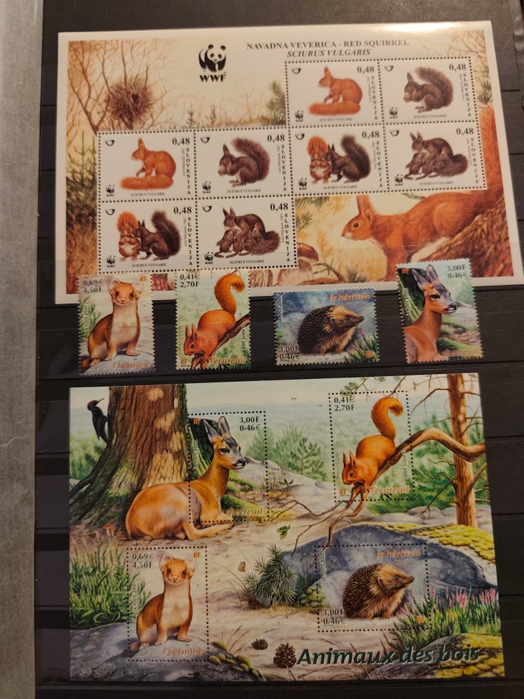 邮票簿 - Leuchtturm - 歐洲 1980/2021 #2.1