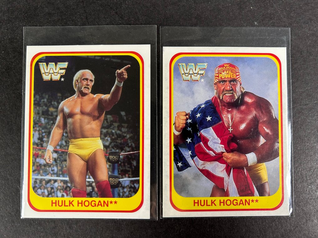 1991 Merlin The Undertaker/Hogan Rookie di Undertaker - 9 Card - 八成新 (NM) #3.2