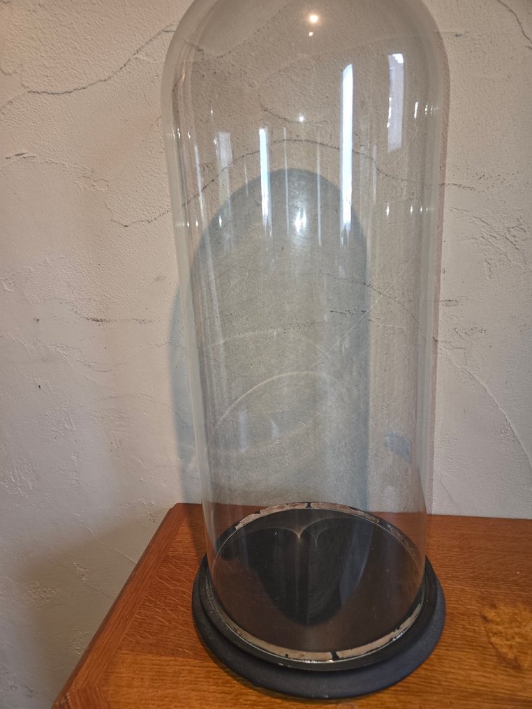 Globe - stolp - antiek - 1901-1920 - Antique round display case with original wooden base, dimensions: height without base approximately #1.0