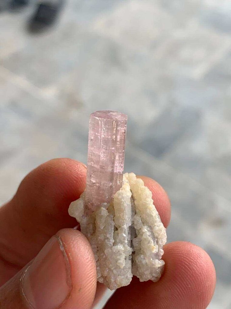 Τουρμαλίνης Δείγμα - Ύψος: 33 mm - Πλάτος: 16 mm- 8.72 g - (1) #1.0