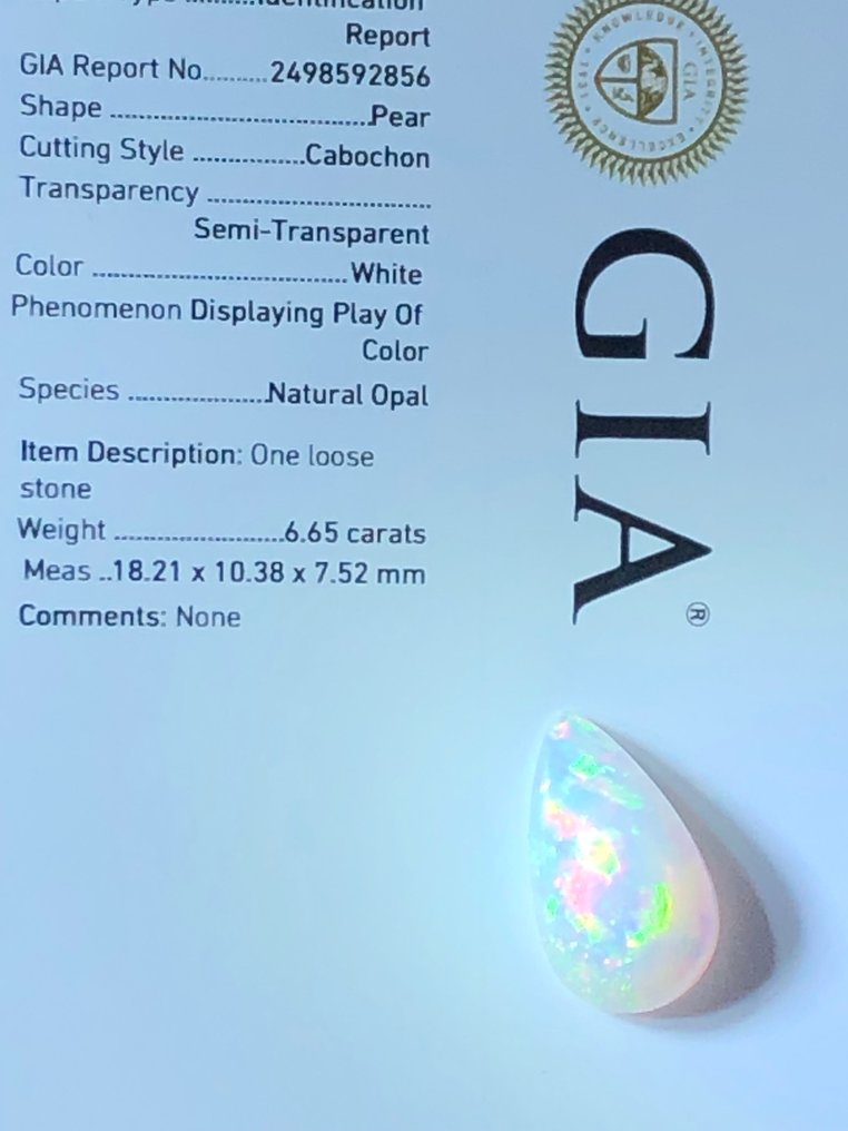 1 pcs  白色 蛋白石  - 6.65 ct - 美国宝石研究院（GIA） #2.1