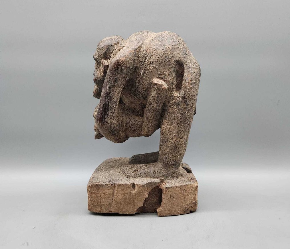 Superbe Statue singe - 雕塑 - boulou - Cameroon  (没有保留价) #4.3