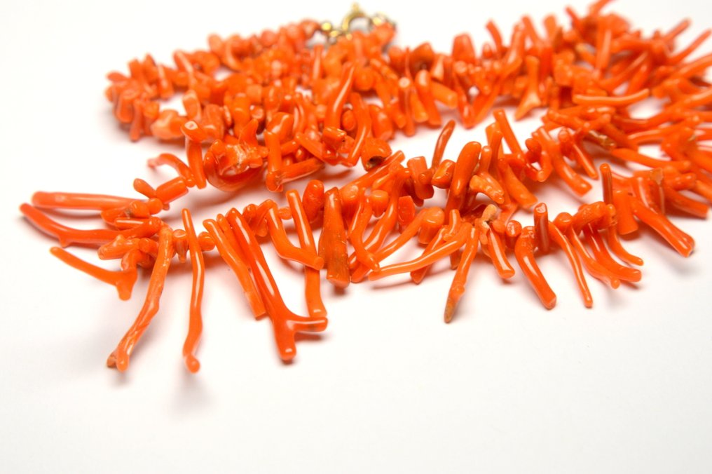Corail - Corail rouge de Sardaigne - 31,3 g - Collier - Italie #3.2