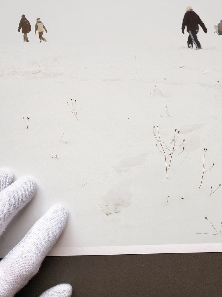 Andre Lichtenberg - Snow Symmetry #3.2