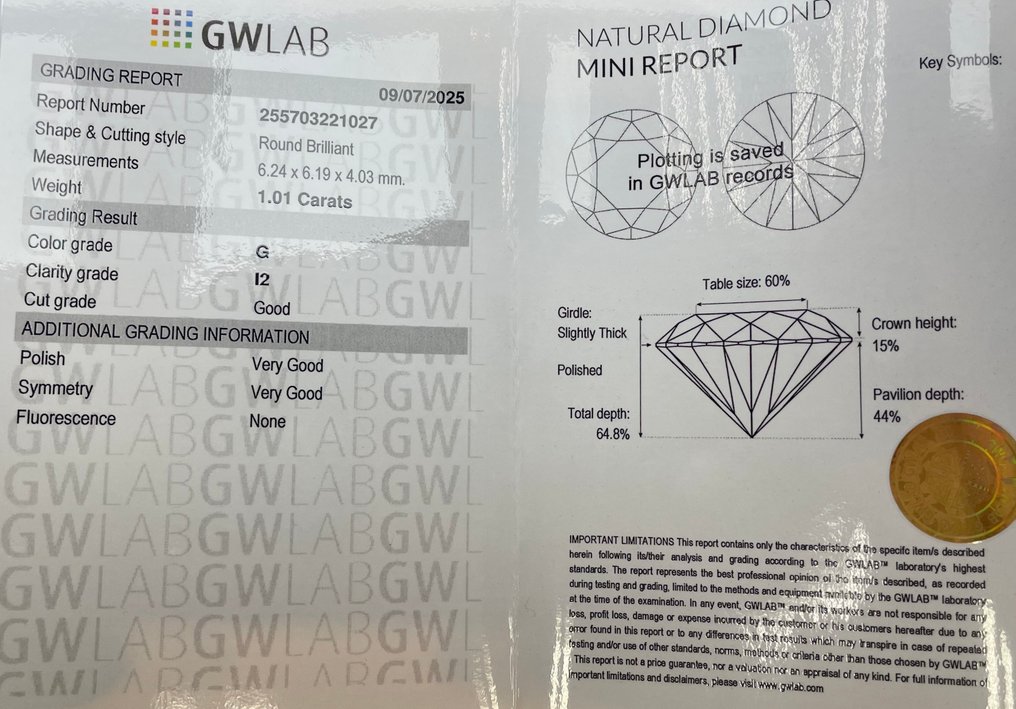 Senza prezzo di riserva - 1 pcs Diamante  (Naturale)  - 1.01 ct - Rotondo - G - I2 - Gemewizard Gemological Laboratory (GWLab) #2.1