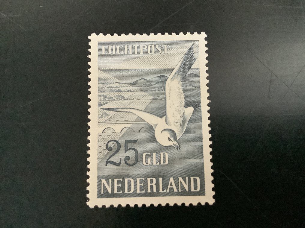 Ολλανδία 1951/1951 - Zeemeeuw - NVPH LP13 #1.0