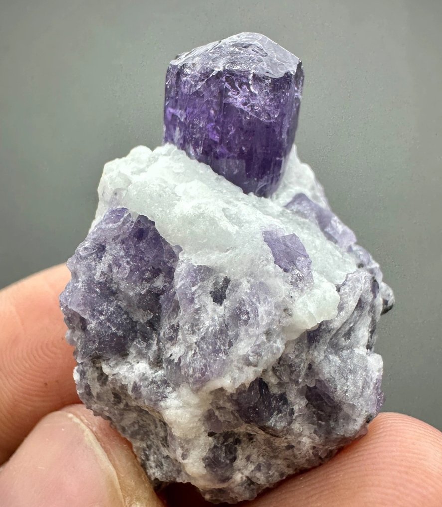 完全预约的紫色调紫色 水晶矩晶体 - 高度: 35 mm - 宽度: 24 mm- 65 t - (1) #2.1