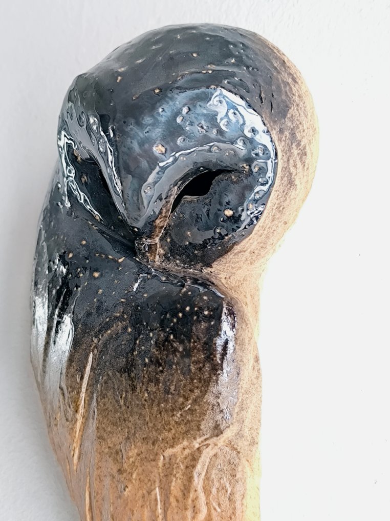 Federico Alibrio - Sleeping Barn Owl #4.3