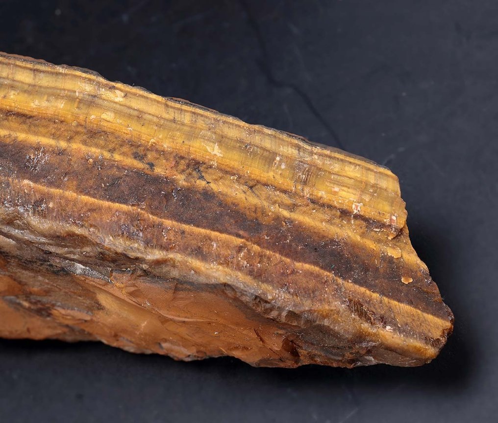 虎眼石 粗糙 - 高度: 28 cm - 宽度: 15 cm- 2.75 kg #4.3