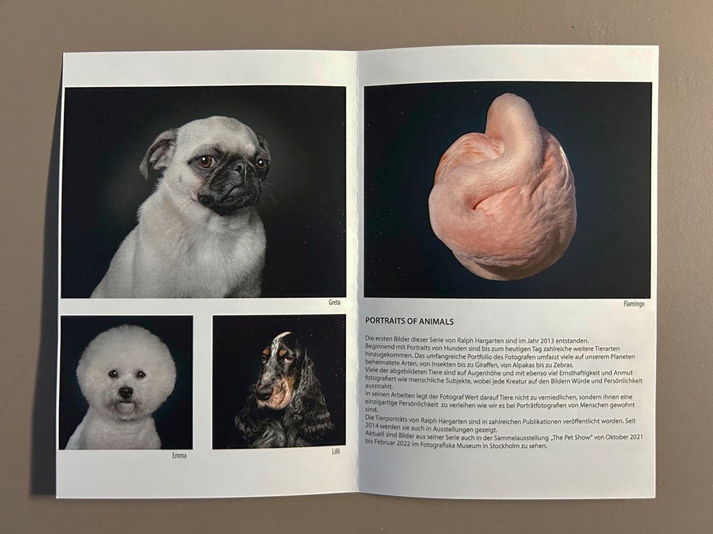 Ralph Hargarten - Flamingo #3.2