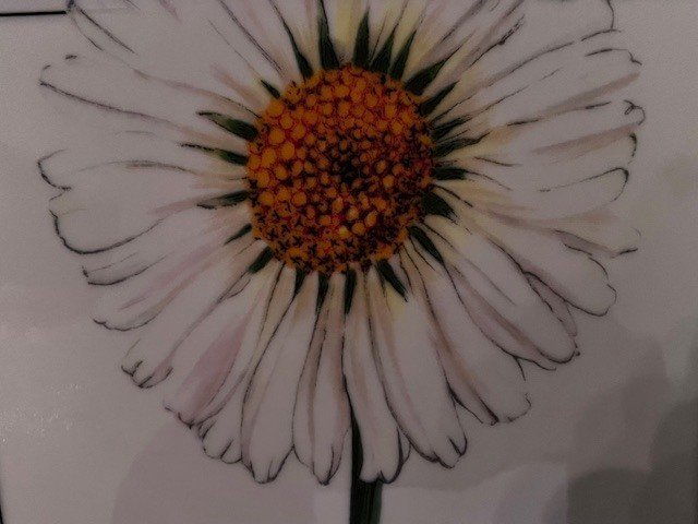 Villeroy & Boch - Table service (10) - Flora - Porcelain - Rare 'daisy' #1.0