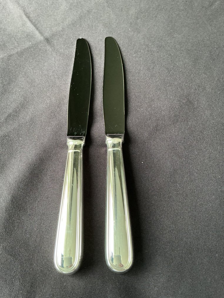 Christofle - Cutlery set (12) - Albi - Silverplated - Albi #2.1