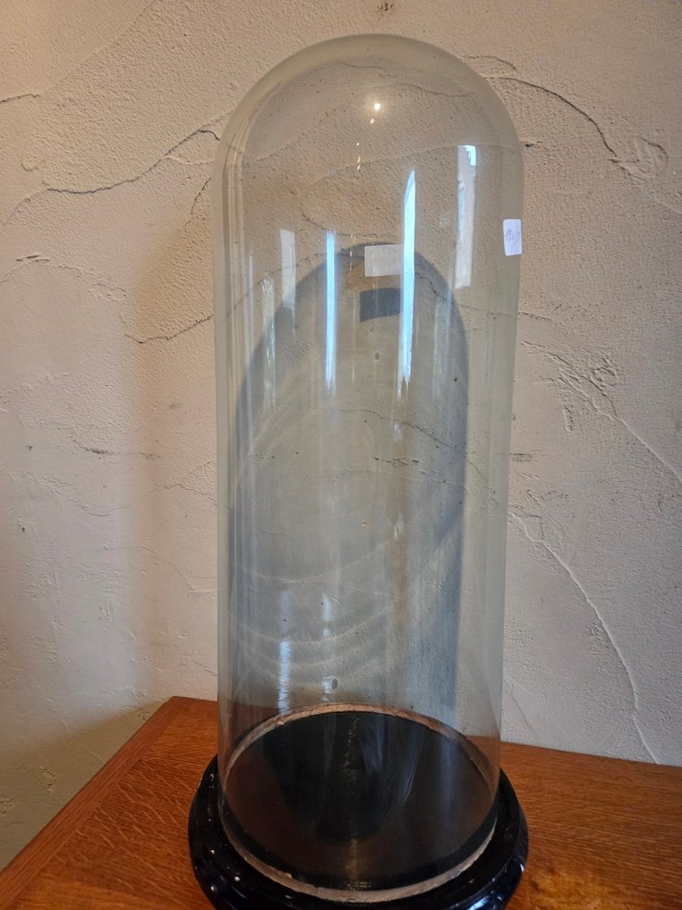 Globe - stolp - antiek - 1901-1920 - Antique round display case with original wooden base, dimensions: height without base approximately #1.0