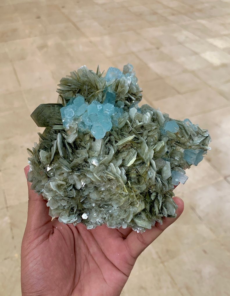 令人惊叹的海蓝宝终止晶体簇与白云母云母结合 标本 - 高度: 155 mm - 宽度: 137 mm- 1049 g - (1) #2.1