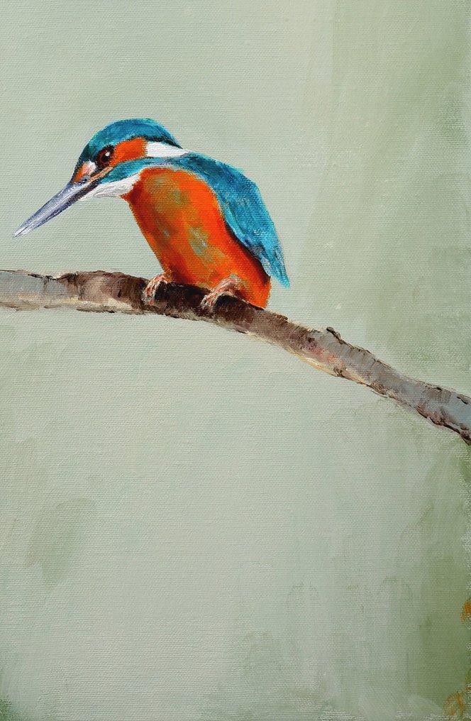 Matthieu van Riel - IJsvogel #1.0