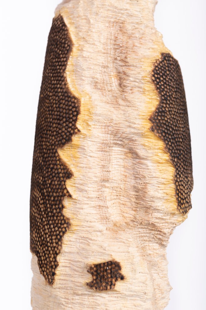 Riccardo Masini - Rovine #3.2