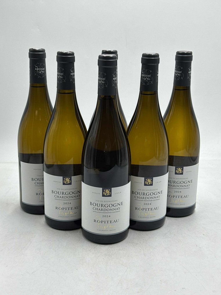 2024 Ropiteau  Bourgogne - Bourgogne - 6 Flaskor (0,75L) #1.0