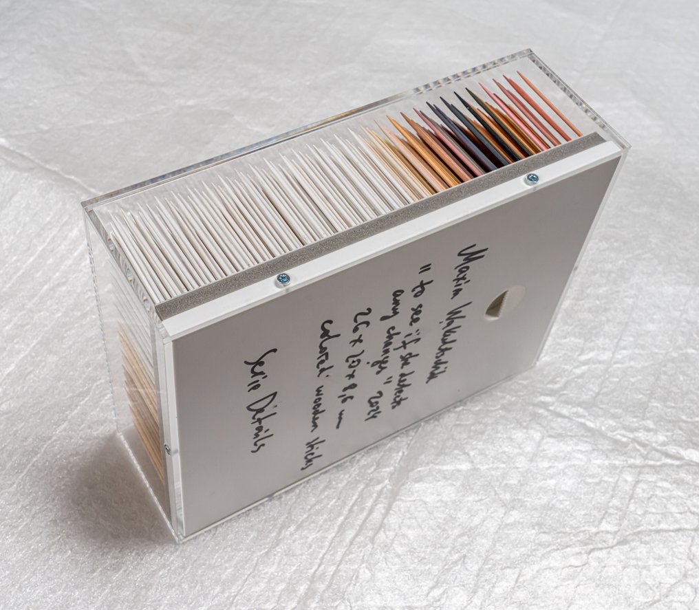 Maxim Wakultschik (1973) - Sculpture, to see if she detects any changes - 3D Object - 26 cm - Lackfarbe auf Holz auf Kapa-Platte hinter Plexiglashaube - 2025 #4.3