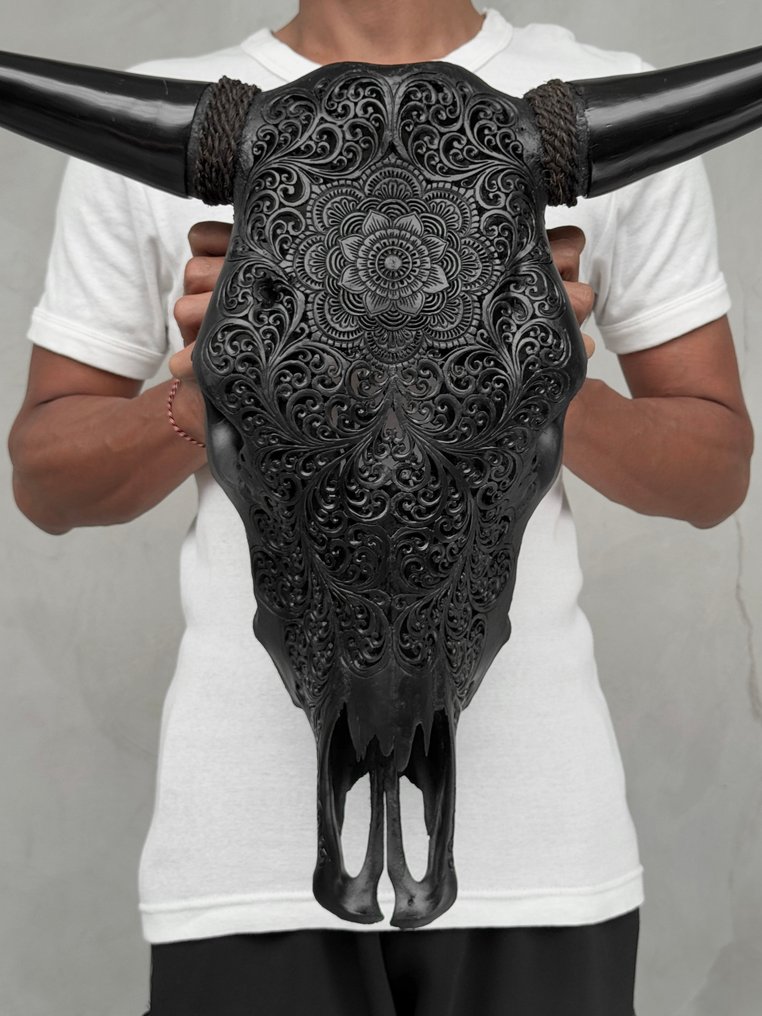 无底价 - 手工雕刻黑色牛头骨 - 花卉曼陀罗图案 雕刻的颅骨 - Bos taurus - 51 cm - 61 cm - 17 cm- 非《濒危物种公约》物种 -  (1) #1.0