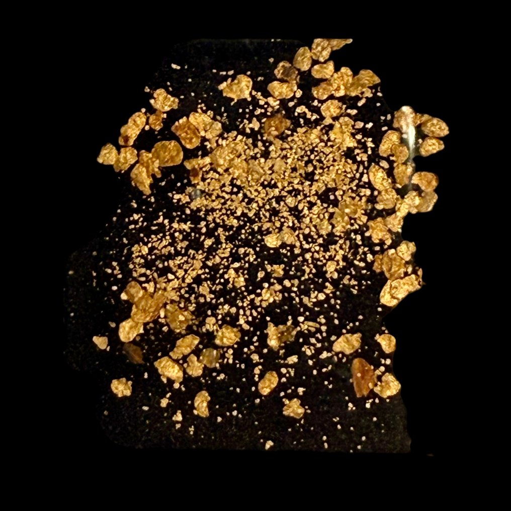 意大利北部本土金块的独特古董收藏——15个展示柜- 11.04 g #1.0