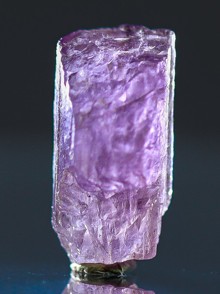 深紫色紫灰石晶体 • 马达加斯加收藏级别 • 无底价 • 5.85 克拉 - 高度: 16 mm - 闊度: 8 mm- 1.17 g - (1) #1.0