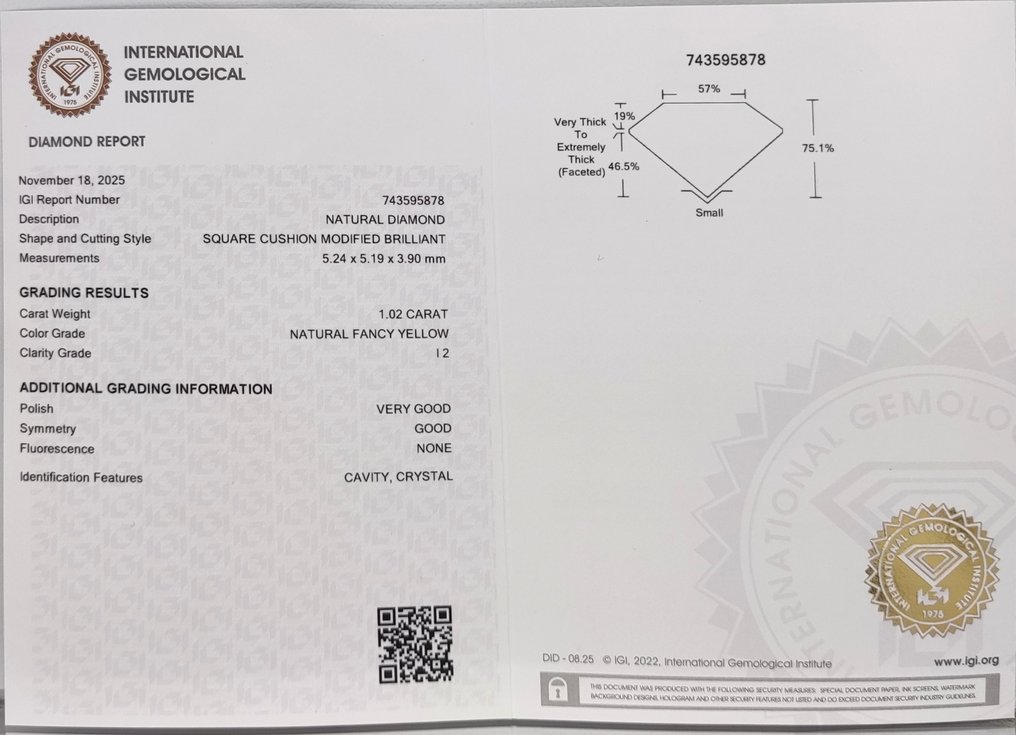 没有保留价 - 1 pcs 钻石 (天然色彩的) - 1.02 ct - 枕形 - Fancy 黄色 - I2 内含二级 - 国际宝石研究院(IGI) #4.3
