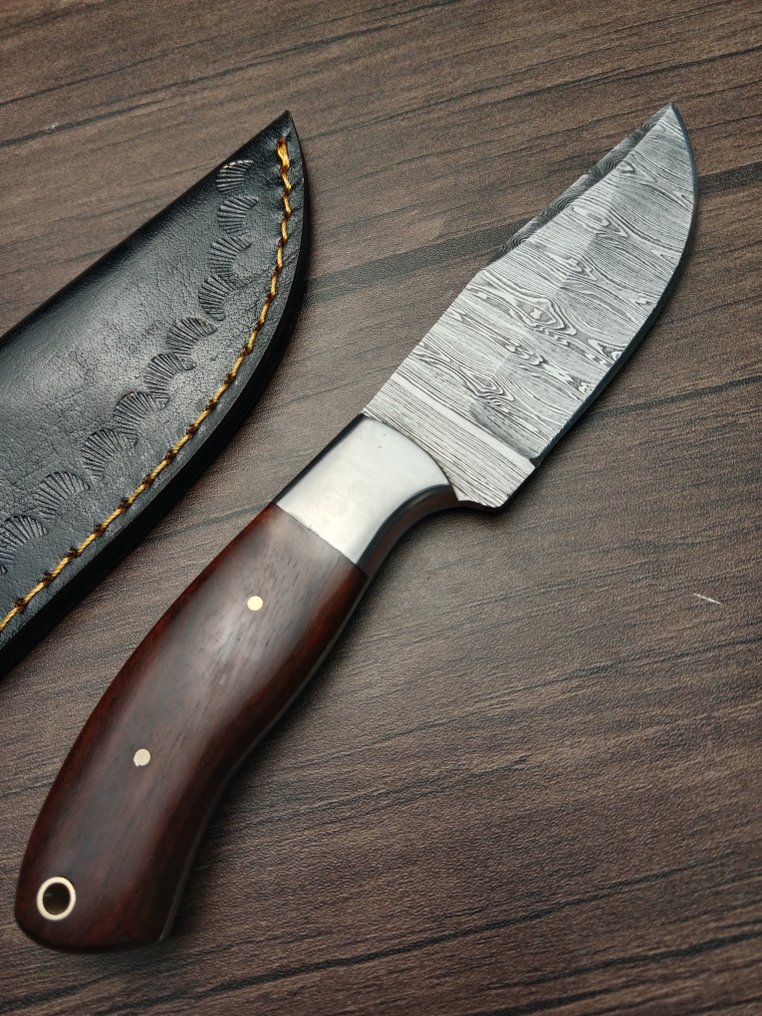 Obsidian - 厨刀 - Kitchen knife set -  介绍 Obsidian 定制系列厨师刀，传统工艺制作 - 专用钢 - 法国 #1.0