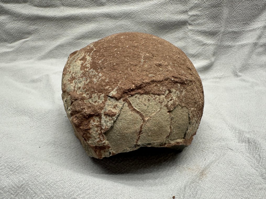 Dinossauro - Matriz fóssil - Hadrosaurus or Therizinosaurus - 11 cm - 9 cm  (Sem preço de reserva) #3.2