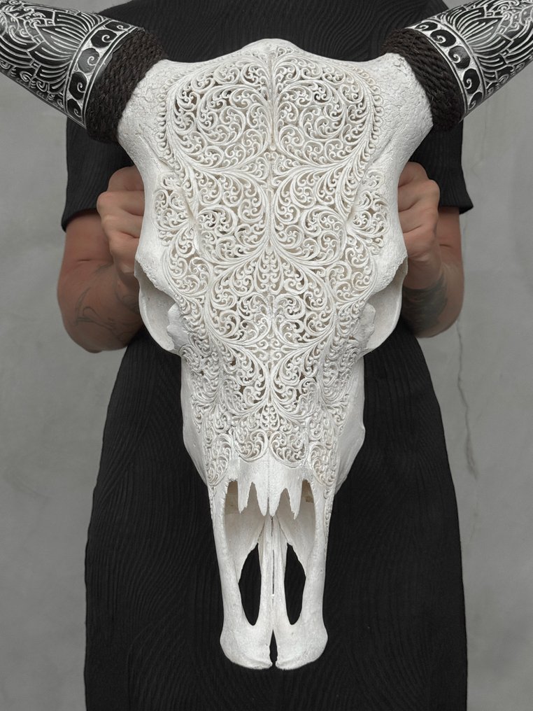 无底价 - 精美的白色雕刻牛头骨，配有波西米亚风雕刻角和蕨叶图案 雕刻的颅骨 - Bos taurus - 57 cm - 68 cm - 17 cm- 非《濒危物种公约》物种 -  (1) #1.0