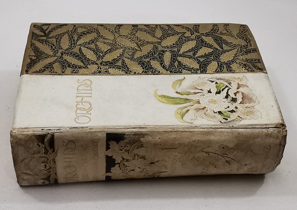 William Watson - Orchids. Their Culture and Management (With 15 Colour Plates) - 1890 #3.2