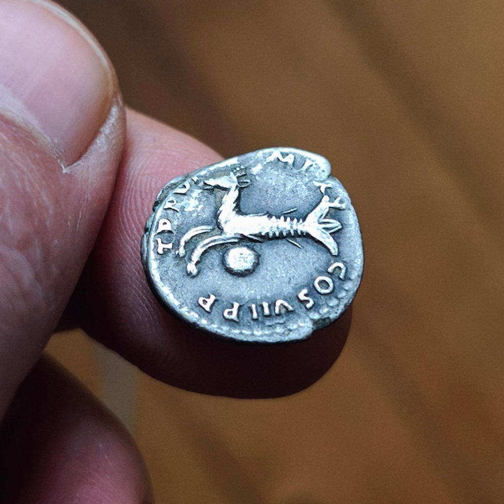 Impero romano. Tito (79-81 d.C.). Silver Denarius TR P VIIII IMP XV COS VII P P Capricorn.  (Senza prezzo di riserva) #3.2