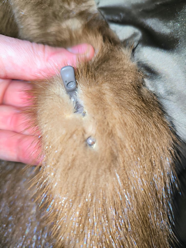 Artisan Furrier - Fur coat #4.3