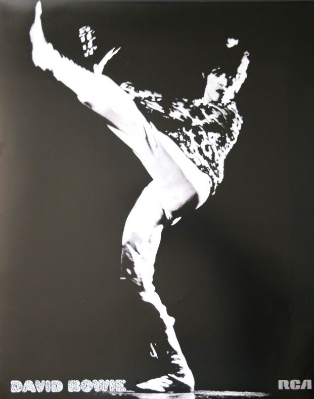 David Bowie - The Man Who Sold The World Limited Edition Of 5000 Wit Poster / And A Landmark Of New Artistic - LP - Japanese pressing, Limited Edition Of 5000 - 1978 #1.0