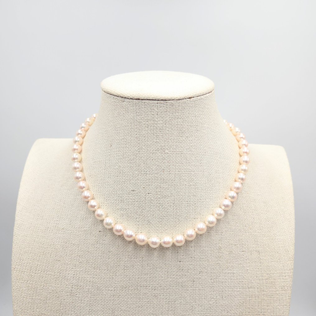 χωρίς τιμή ασφαλείας - Κολιέ Ασημί Μαργαριτάρι - Akoya 7,5mm 16 ίντσες #1.0