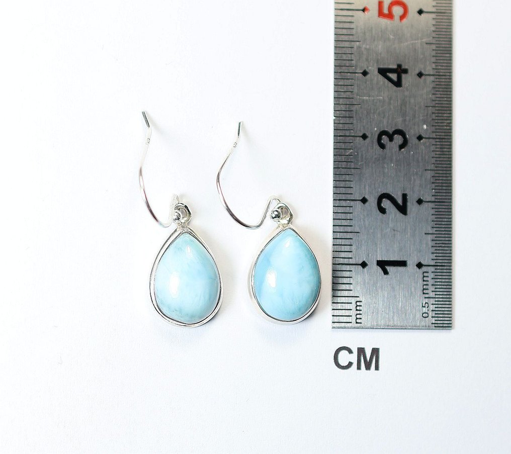 海纹石 2 个耳坠- 5.58 g - (2) #1.0