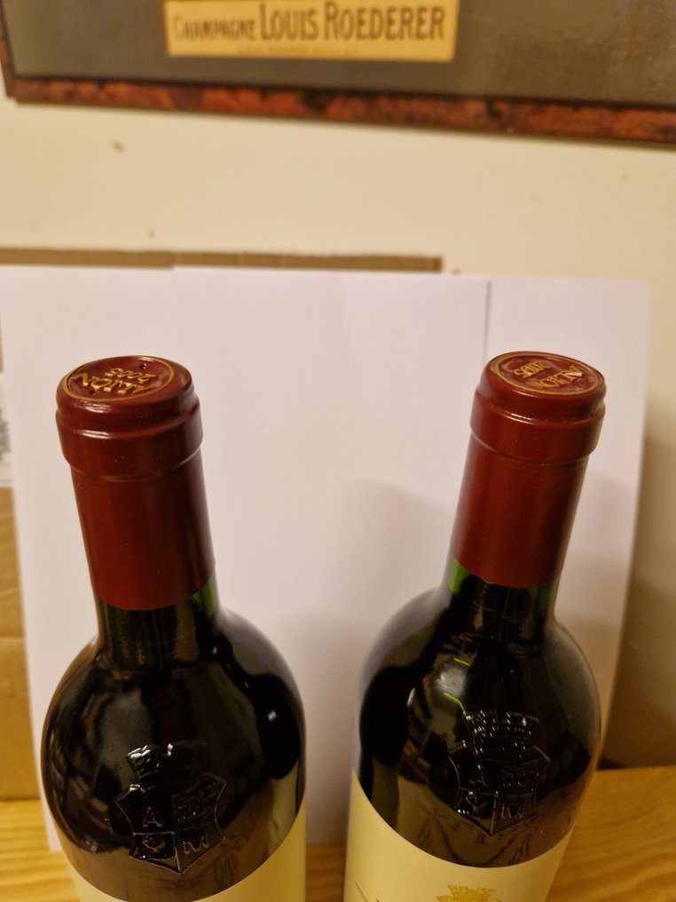 2005 Bodegas y Viñedos Alion - Ribera del Duero - 2 Flasker (0,75 L) #4.3