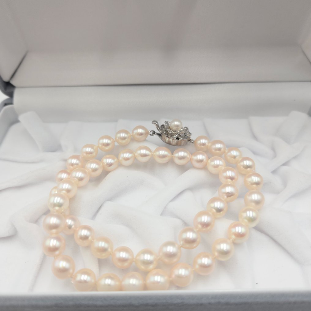 χωρίς τιμή ασφαλείας - Κολιέ Ασημί Μαργαριτάρι - Akoya 7,5mm 16 ίντσες #1.0