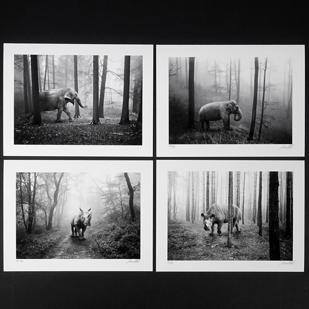 Frank Machalowski - Portfolio of 4 pictures from the series "tierwald" #1.0