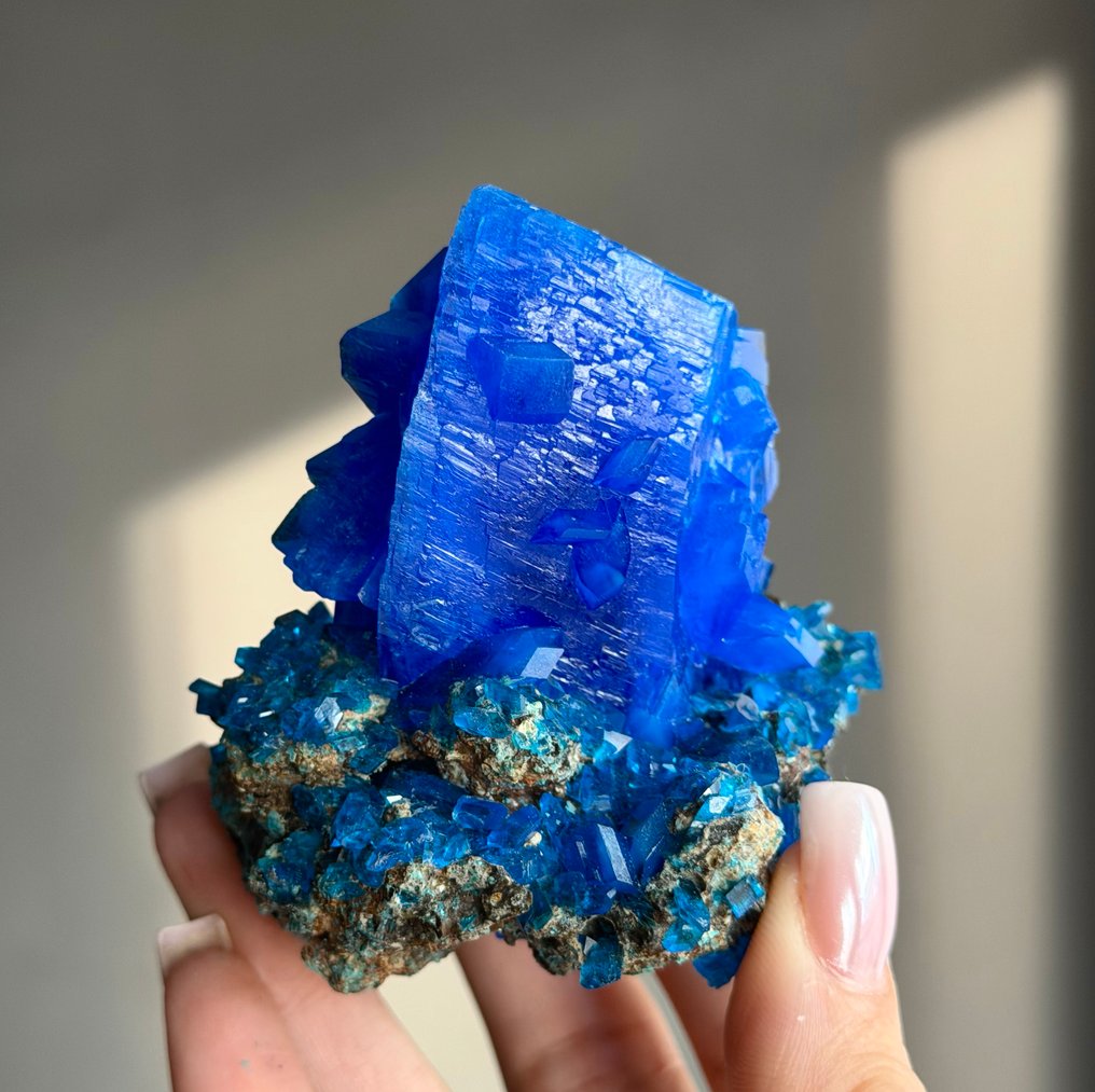 NO RESERVE! 150g Royal Blue CHALCANTHITE Crystal on Matrix Copper Flower Crystal on matrix - Height: 8 cm - Width: 7.9 cm- 150 g #1.0