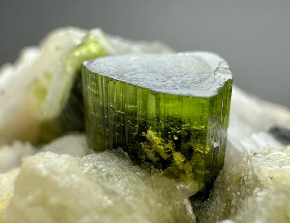 晶莹剔透的蓝色调电气石晶体镶嵌在石英上 水晶在矩陣上 - 高度: 51 mm - 闊度: 41 mm- 231 t - (1) #1.0