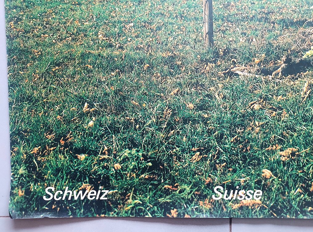 Krebs, Rolf - Switzerland- Berner Oberland, 1980 #2.1