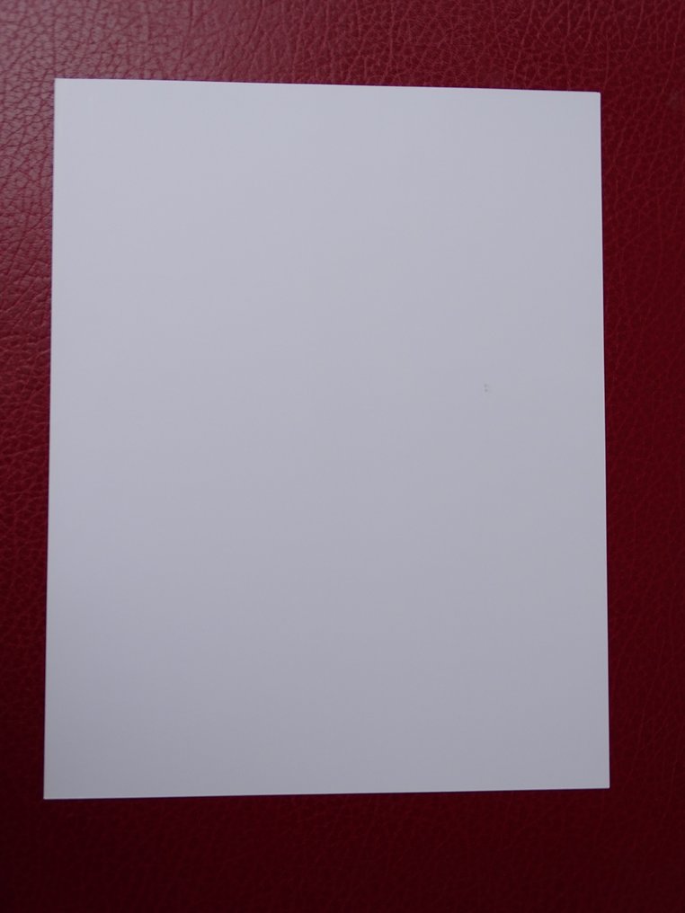 Willy Ronis (1910–2009) - Walking #3.2