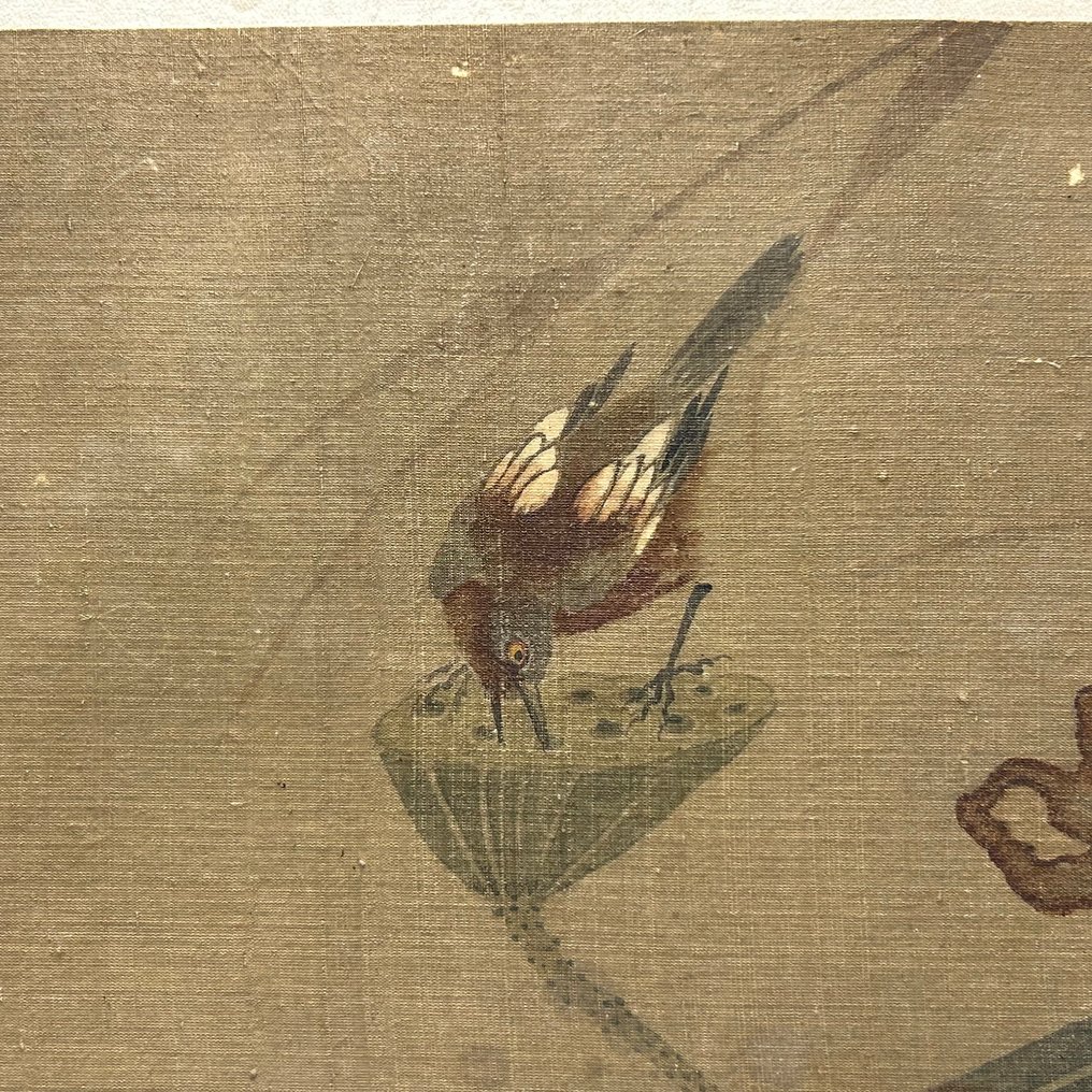 Lotusbloem zijde schildering - 未知艺术家 - 中国 - Qing Dynasty (1644-1911)  (没有保留价) #4.3